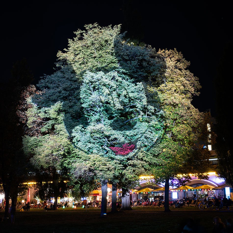 Festival Of Lights