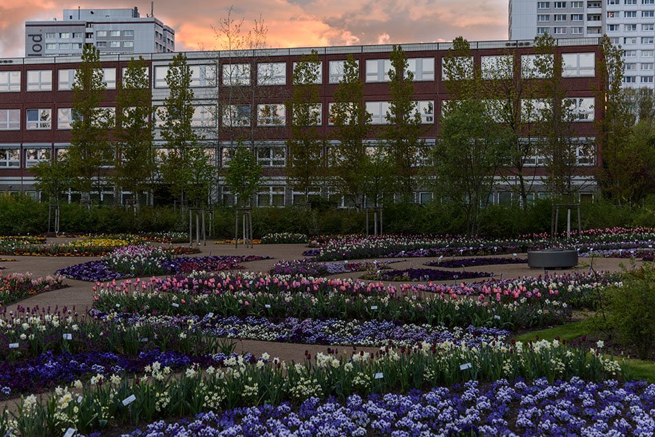 The International Garden Exhibition 2017