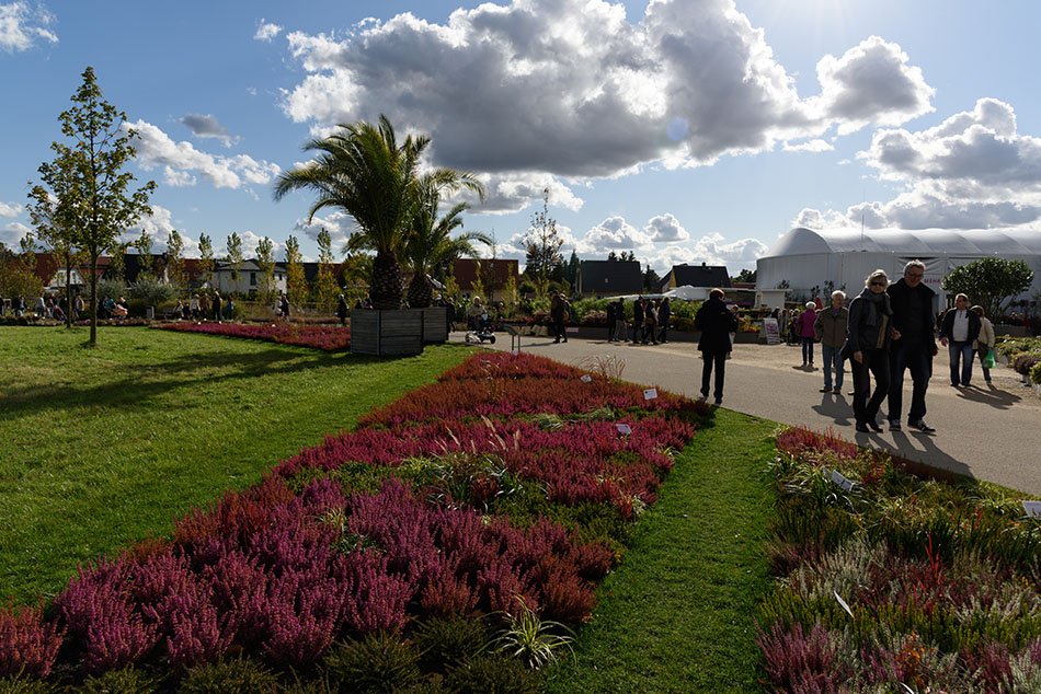 The International Garden Exhibition 2017