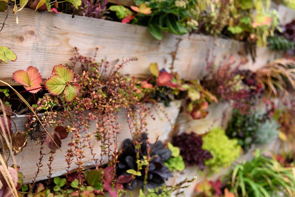 The International Garden Exhibition 2017