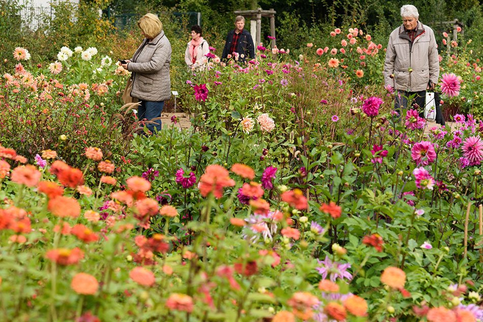 The International Garden Exhibition 2017