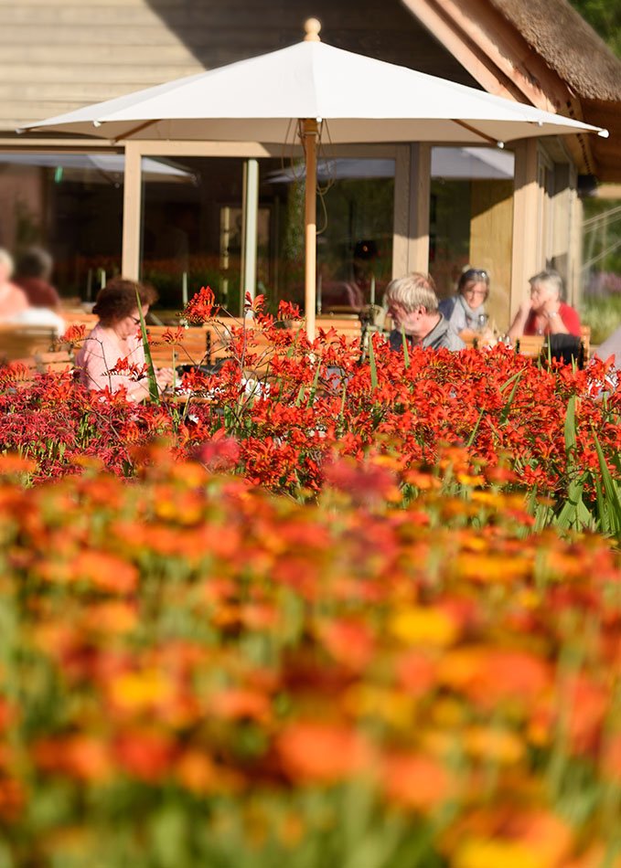 The International Garden Exhibition 2017