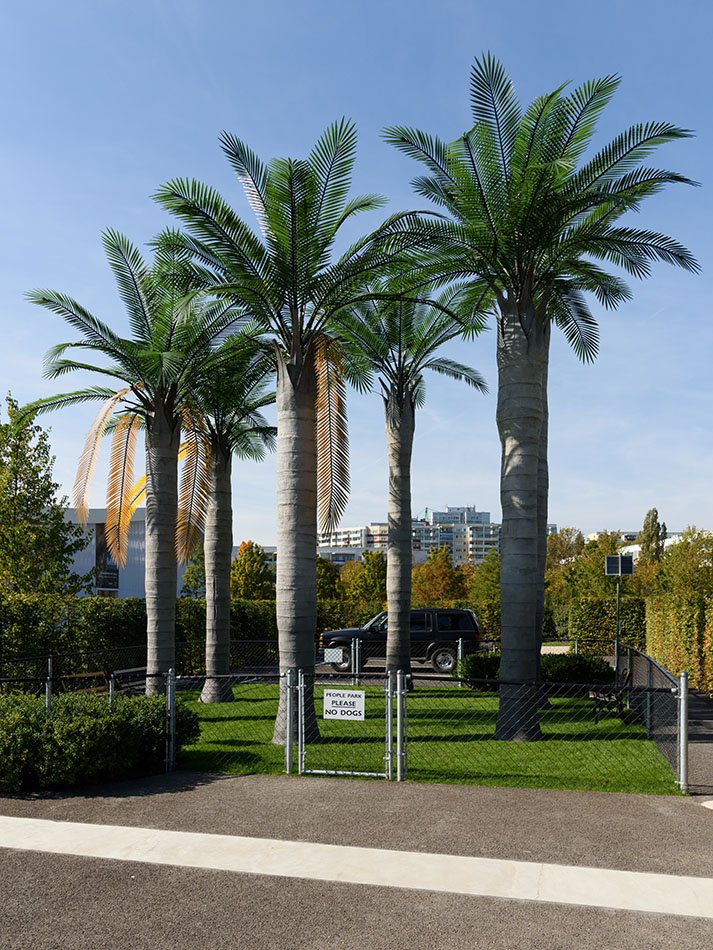 The International Garden Exhibition 2017