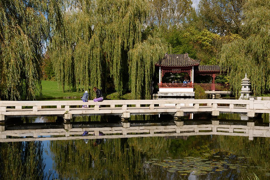 The International Garden Exhibition 2017