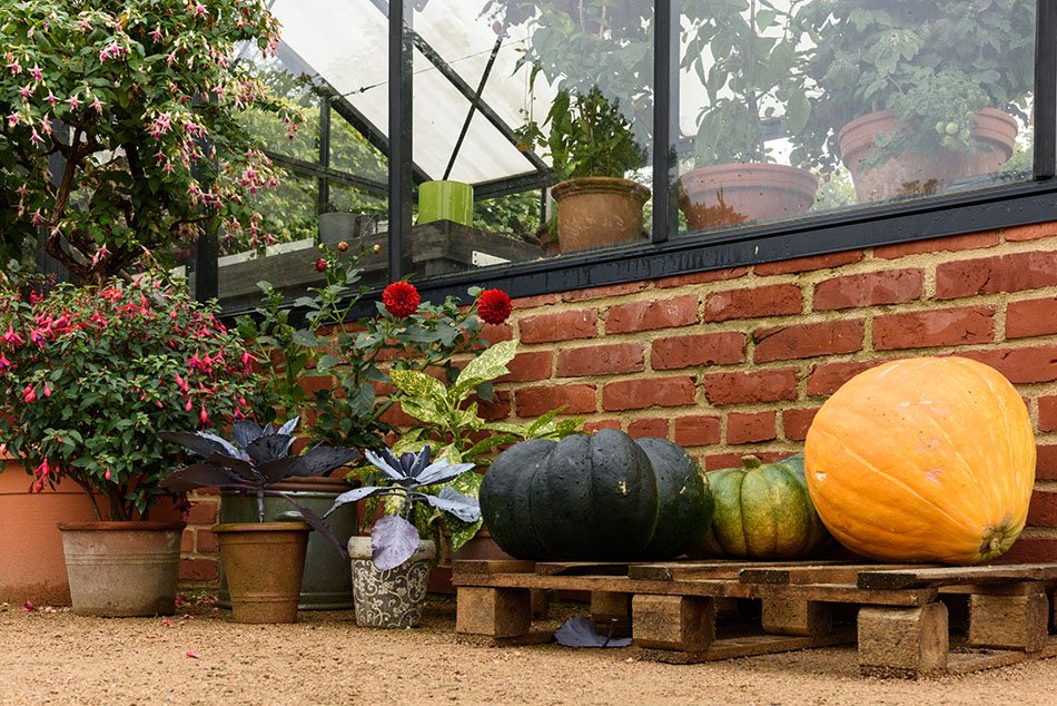 The International Garden Exhibition 2017