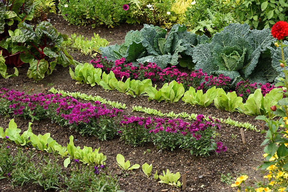 The International Garden Exhibition 2017