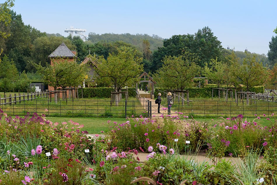 The International Garden Exhibition 2017