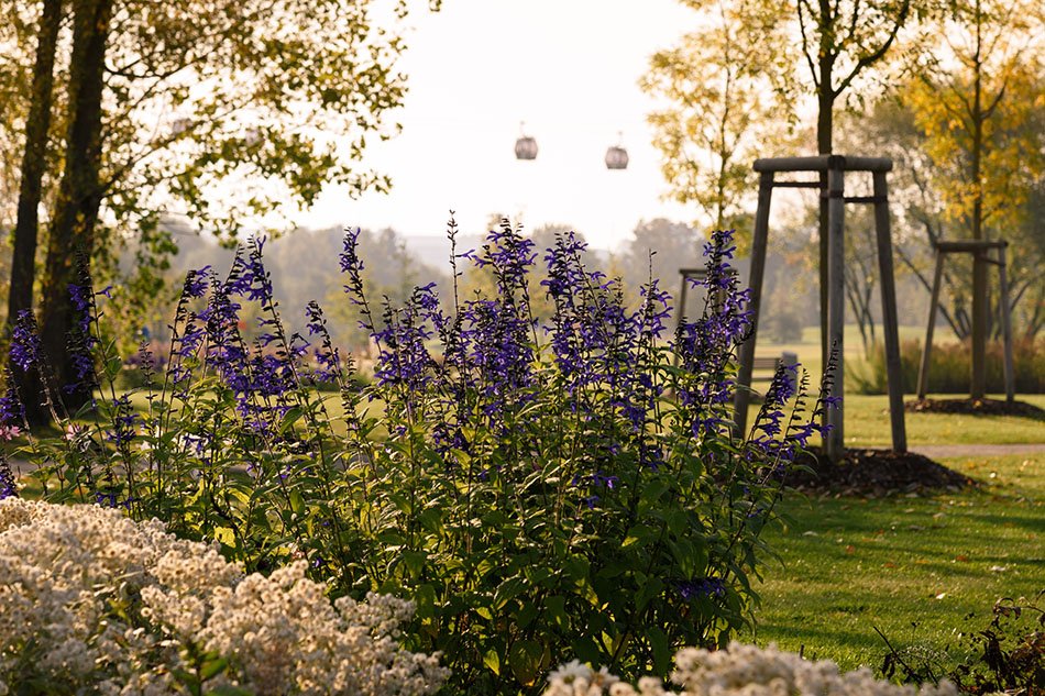 The International Garden Exhibition 2017