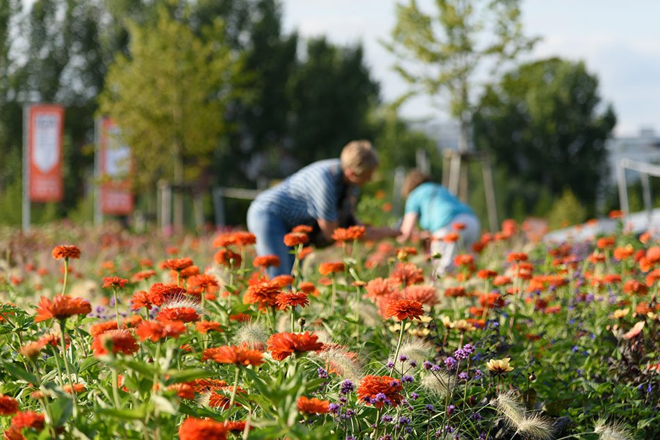 The International Garden Exhibition 2017