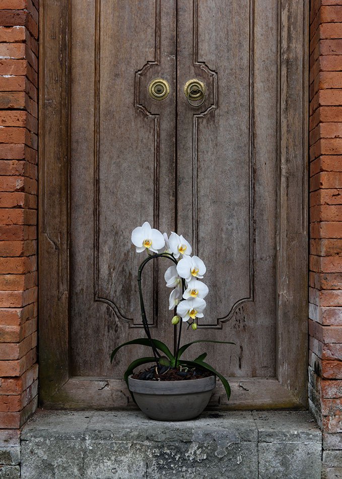 The International Garden Exhibition 2017