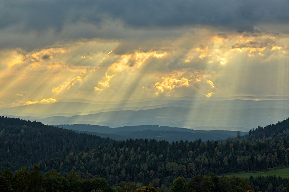 The Bavarian Forest.