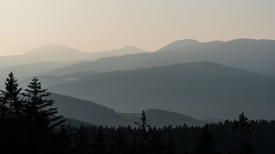 The Bavarian Forest.