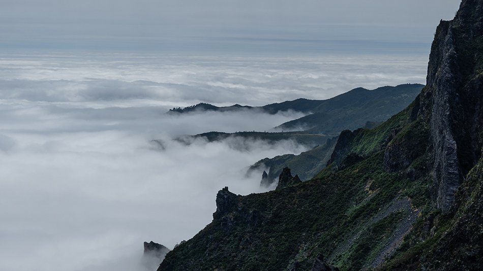 The Madeira coastline.