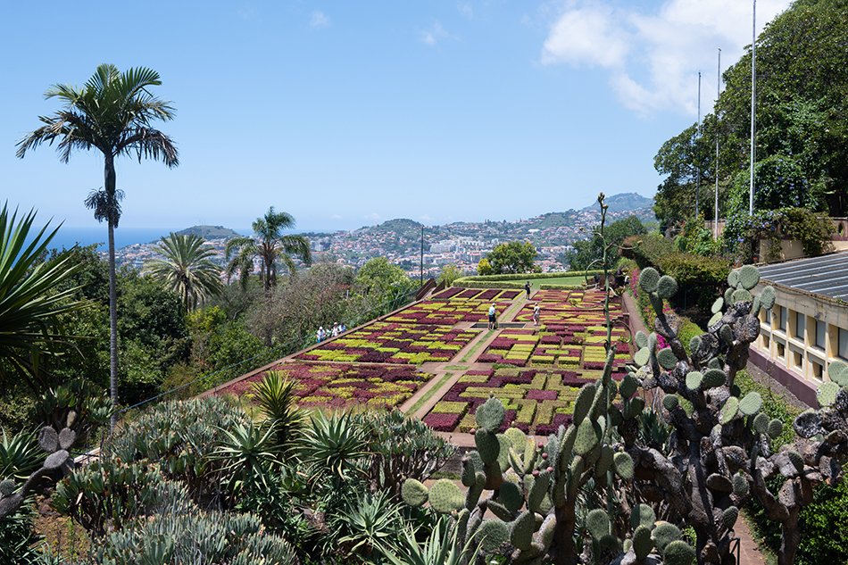Madeira Botanical Garden.
