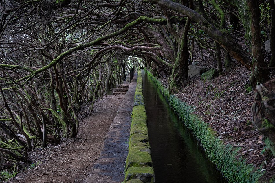 25 Fontes and Levada da Rocha Vermelha hiking trail, Madeira.