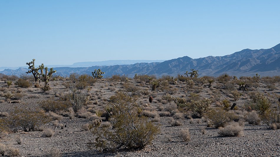 Joshua Tree National Park, Mojave Desert.