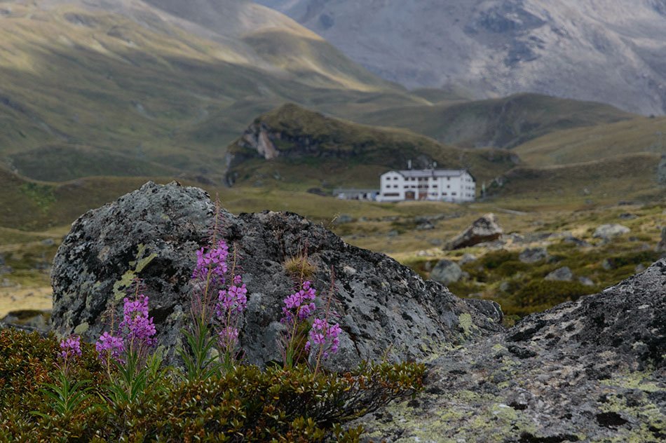 Hiking on the Austrian / Swiss border.