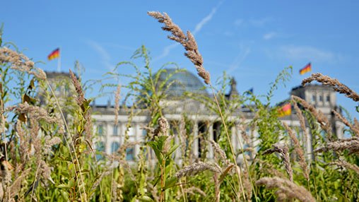 The Reichstag in the distance.