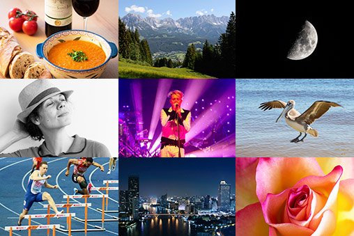 A composition of various photography genres.