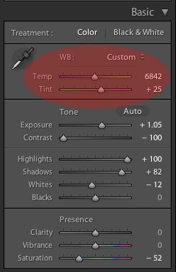Lightroom basic editing menu.